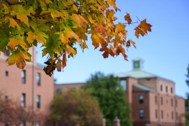 Westfield State Login Official Login Page